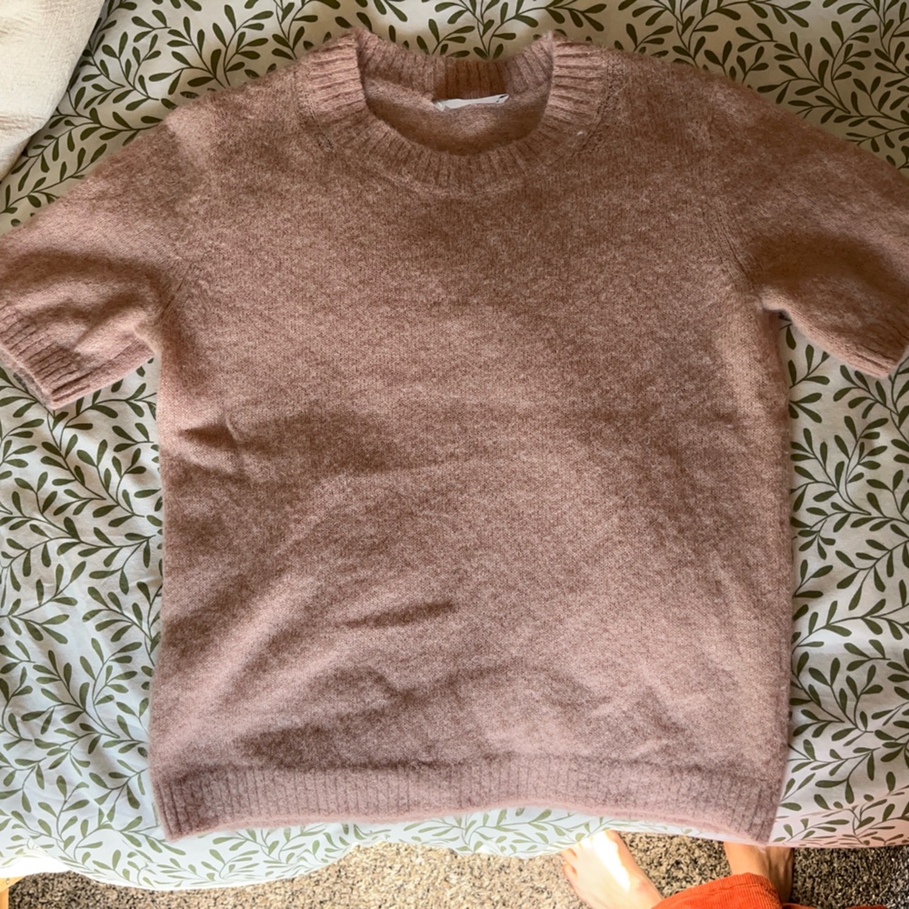 Everlane Alpaca Sweater Tee
